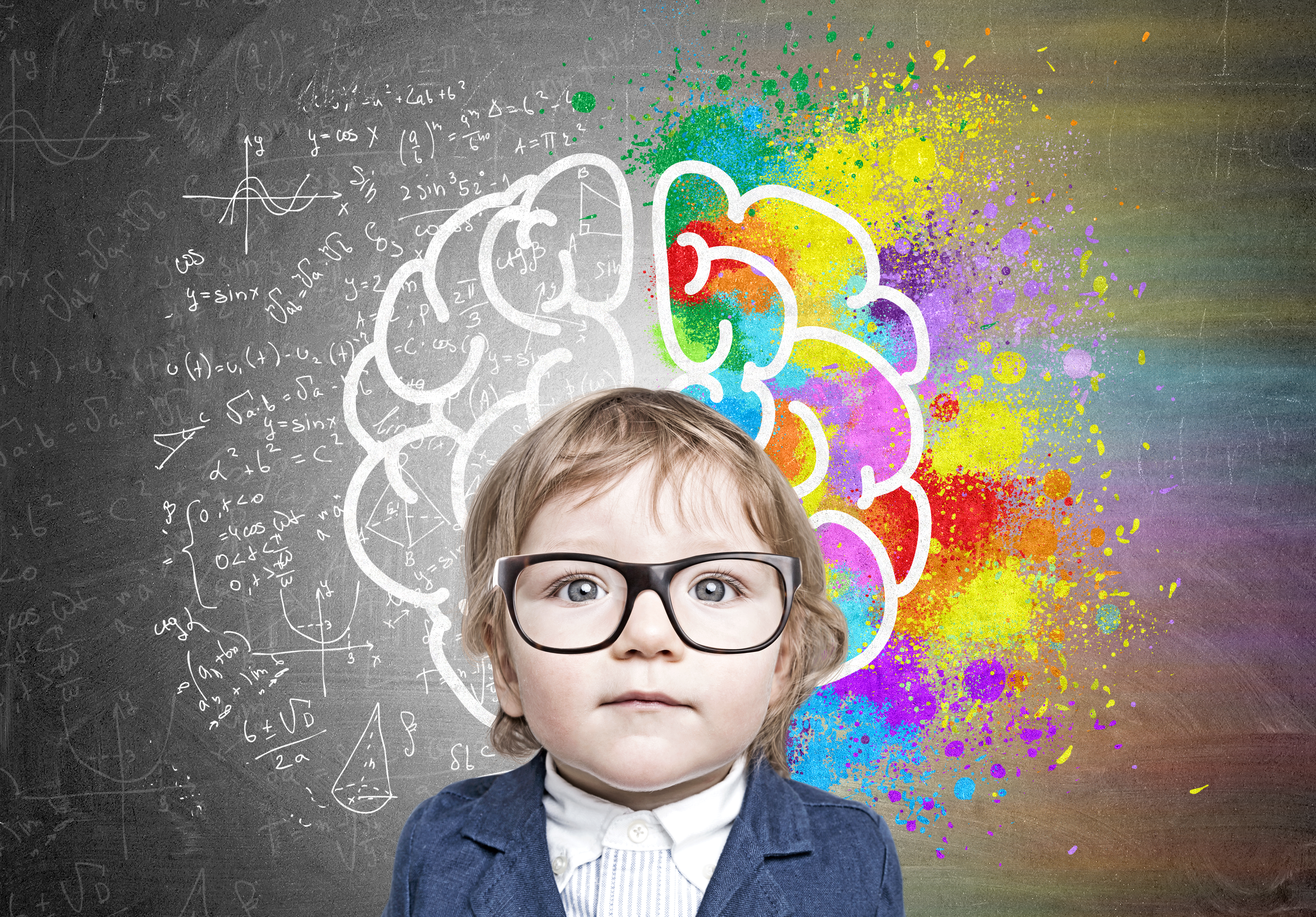 The Brain, Memory, and other Neurological stuff